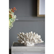 Load image into Gallery viewer, Faux Coral Small