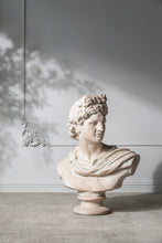 Load image into Gallery viewer, Classic Bust Statue
