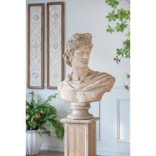 Load image into Gallery viewer, Classic Bust Statue
