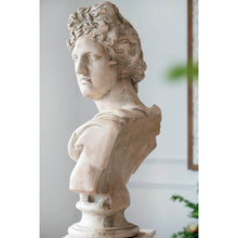 Load image into Gallery viewer, Classic Bust Statue
