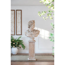 Load image into Gallery viewer, Classic Bust Statue
