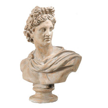 Load image into Gallery viewer, Classic Bust Statue 78 Alliance Furniture
